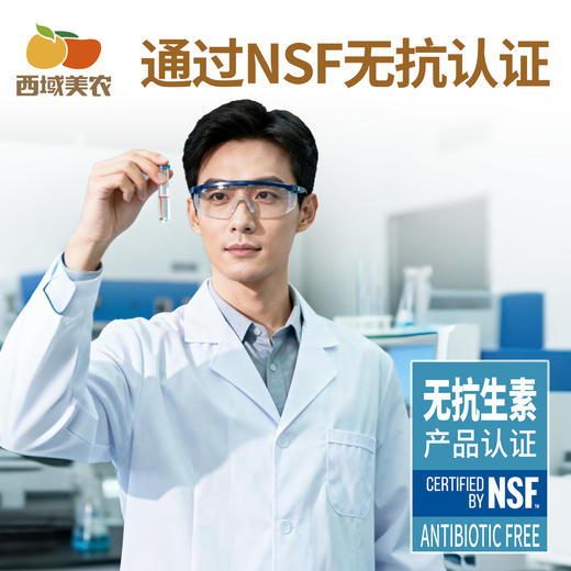 【FX】西域美农五星无抗鸡蛋/叶黄素可生食鸡蛋无抗生素 商品图11