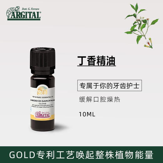 丁香精油10ml 商品图0