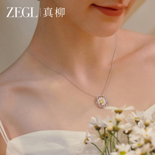 ZEGL雏菊系列花朵项链女款小众独特设计感锁骨链秋冬饰品精致颈链 商品图1