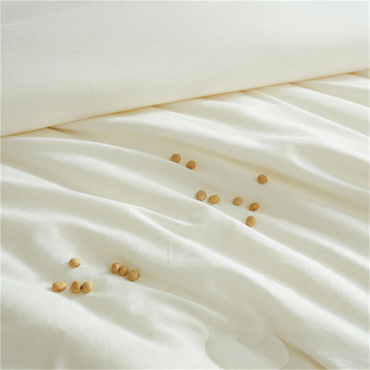 博洋家纺（BEYOND）A类舒柔大豆四季被200*230cm 商品图4