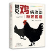 常见鸡病诊治原色图谱 第3版 商品缩略图0