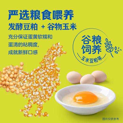 香满园谷物安选鲜鸡蛋M级/1.59kg(珍珠棉托/礼盒)30枚装 商品图3