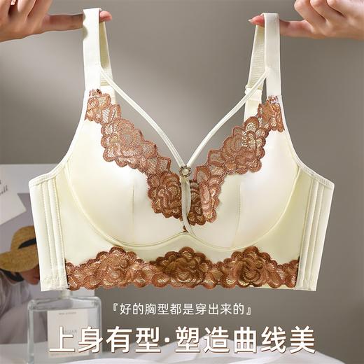 高奢缎面蕾丝调整型内衣 大胸显小聚拢提拉上托 295# 商品图2