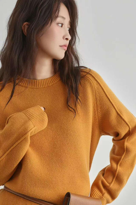 【团购 2025年 纯羊毛 圆领】多色 镶嵌金丝款 纯羊毛 羊毛衫 请手洗或轻柔机洗哦 柔软 亲肤 商品图11