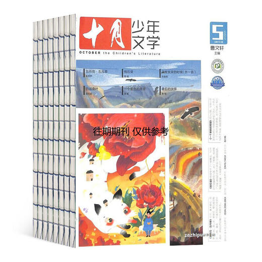 十月少年文学【2026年】整年刊 【下单48h会发赠品/订阅通知单，正刊需要26年才出刊后发出，共计12期，每月月初发当月】(AYB) 商品图4
