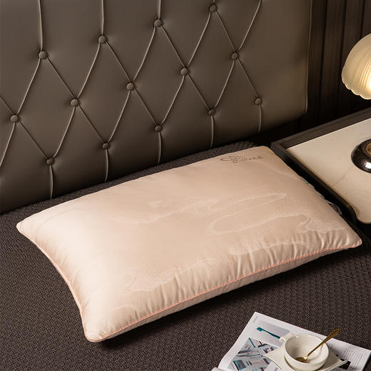 多喜爱 美眠康 冰姿枕蚕丝蛋白枕 真蚕丝高回弹超柔软 珍珠白/珊瑚粉 商品图1