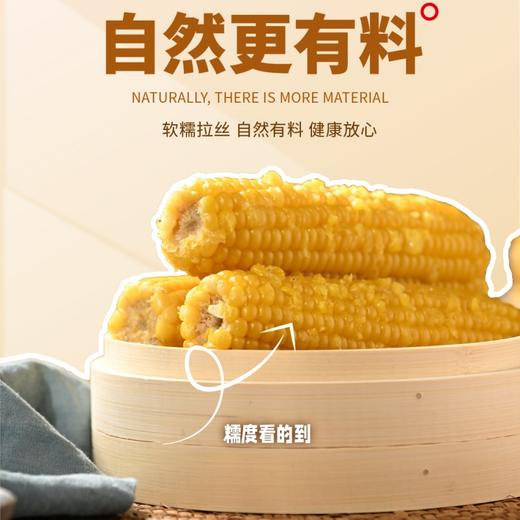 【糯玉米】新鲜玉米极速真空锁鲜，软糯拉丝自然有料 商品图4