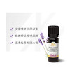 雅琪朵醒目薰衣草精油10ml 商品缩略图1