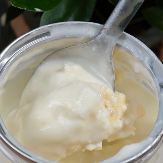 内蒙奶皮子酸奶 商品图4