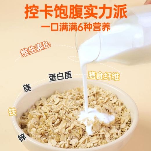 精力沛燕麦片1.03kg 商品图3