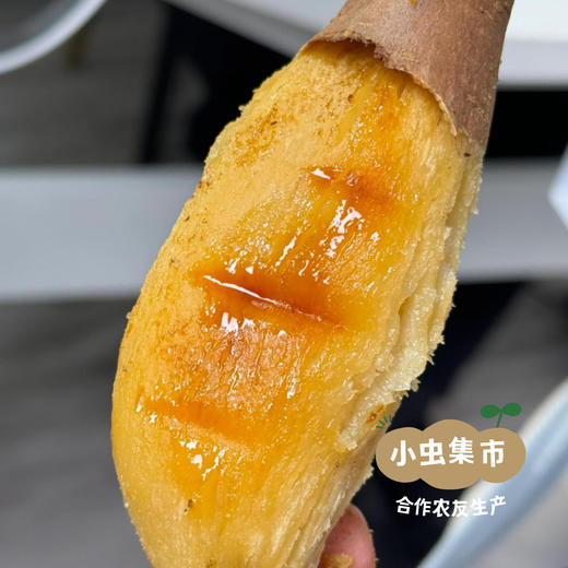 生态榴莲蜜薯/哈密白薯（红薯）5斤 | 合作农友种植，来自山西晋中，生产者：王彪 *【公平贸易农人定价】 商品图2
