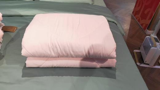 蓝丝羽被芯 商品图0