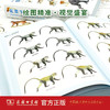 世界灵长类图鉴  董贵信 张鹏 李保国 龙勇诚 编著 [英]斯蒂芬·D.纳什 绘  商务印书馆 商品缩略图2