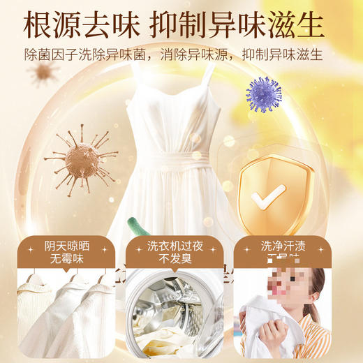优惠5斤装【根源去味❗️持久留香】5斤大桶洗衣液72小时持久留香法国特调香氛皂液家用整箱。ja 商品图3