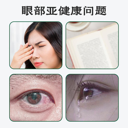 养瑞和丨中药眼部调理膏7g/瓶·外用膏·叶黄素·三七·金银花·车前子·白芷·决明子·野菊花 商品图2