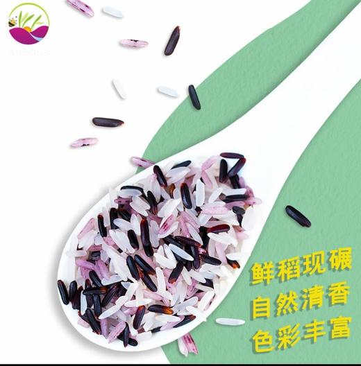 YJF 【新兴微丰·三色香米2.5kg 】三色糙米新米健身粗粮低脂五谷杂粮 商品图2