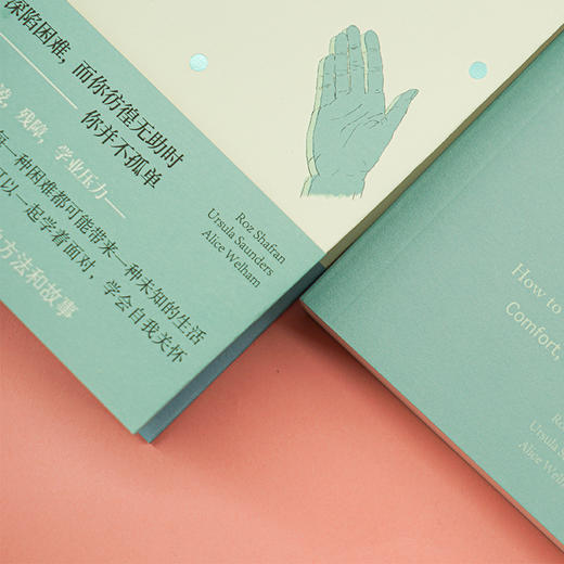 你并不孤单：家长的情绪疗愈手册 （守望者·心自在） 商品图4