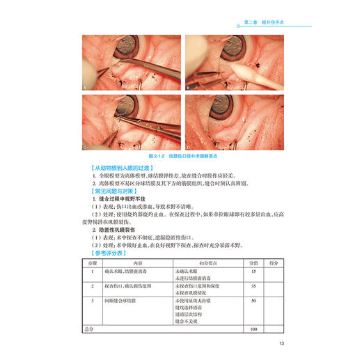 眼科住院医师规范化培训系列：WetLab模拟手术 林浩添 主编 内容包含中山眼科中心十余年WetLab培训的体系化经验 人民卫生出版社 商品图4