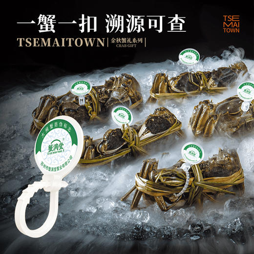 【顺丰/京东冷链】蟹满堂高端湖蟹 高端湖蟹 现货非提货卡 阳澄湖镇原产地直发 送品蟹辅料包（紫苏、红枣姜茶、蟹醋、吃蟹工具） -BXMT 商品图1