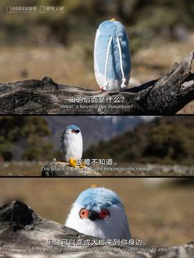 夜师傅，山的后面是什么？