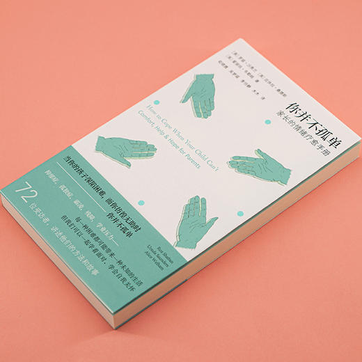 你并不孤单：家长的情绪疗愈手册 （守望者·心自在） 商品图2