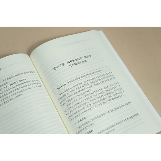 国有企业管理人员违法行为适用处分通解 温剑能编著 法律出版社 商品图4