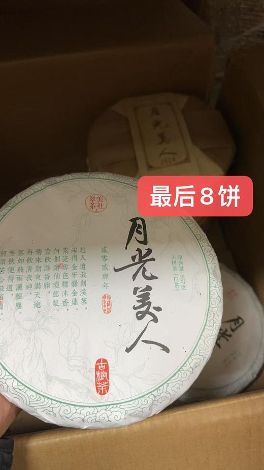 【2024月光美人】云南白茶的极致滋味！云南特有古树白茶！ 商品图0