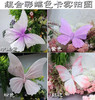 彩蝶组合（运费自理） 商品缩略图1