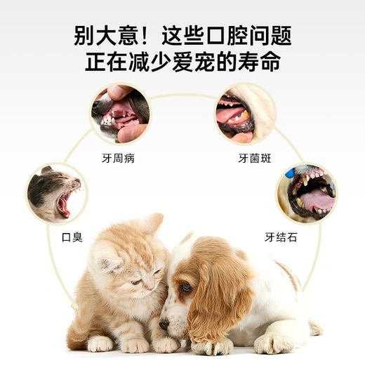 宠物漱口水 50ml 商品图4