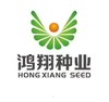 鸿翔种业 优迪919HZ转基因玉米种子5500粒 商品缩略图2