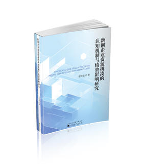 新创企业资源拼凑的认知机制与绩效影响研究