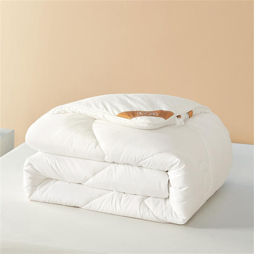 博洋家纺（BEYOND） 抑菌A类澳洲羊毛冬被（澳瑞白）200*230cm 商品图4