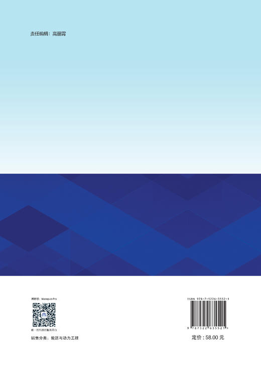 风电场典型工程案例缺陷分析 商品图2