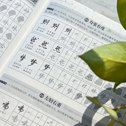 行书攻略 行书46技+艺术签名 技巧提升2册 行书技法教程艺术签名设计教程 签名行书字帖临摹练习赠跟练视频和电子字帖库 商品图4