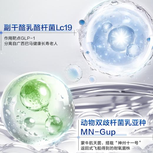 蒙牛安糖盾益生菌 商品图4