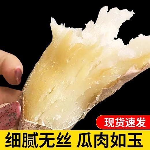 热卖中！！辽宁黑山哈密冰糖薯 商品图2