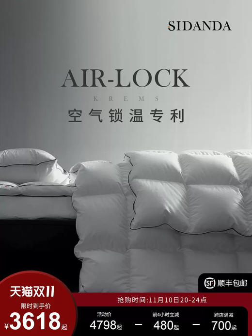 诗丹娜SIDANDA红点奖设计鹅绒被羽绒被 商品图0