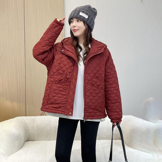 丁摩 棉衣棉服女2025新款冬季夹棉轻薄小棉袄秋冬超好看连帽外套5ZF-2835 商品图3