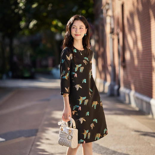 丁摩 76004新款轻奢织金螺钿晴春蝶戏圆领丝毛连衣裙七分袖早秋5ZF-11109 商品图1