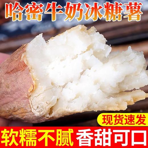 热卖中！！辽宁黑山哈密冰糖薯 商品图5
