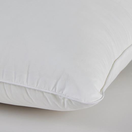 罗莱T 科技阻螨抗菌舒弹枕 47*73cm 商品图3