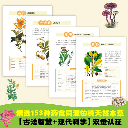 漫画《神农本草经》 商品图3