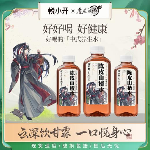 悦小开陈皮山楂水500ML*15瓶 商品图2