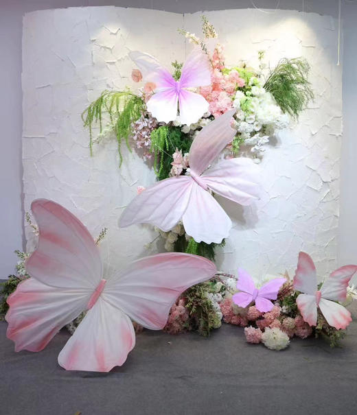 彩蝶组合（运费自理） 商品图3