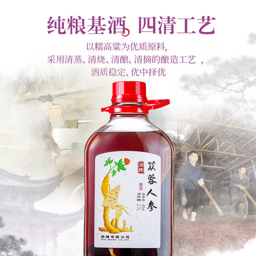 【新品】2.3L40 度劲牌苁蓉人参酒 商品图3