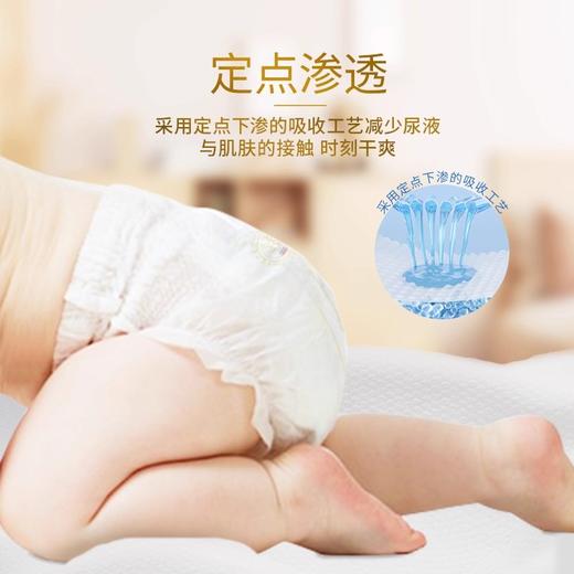 全棉呼吸铂金贵族系列尿不湿 商品图1