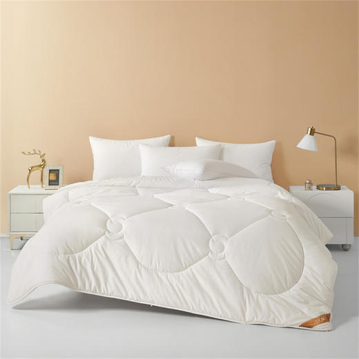 博洋家纺（BEYOND） 抑菌A类澳洲羊毛冬被（澳瑞白）200*230cm 商品图2