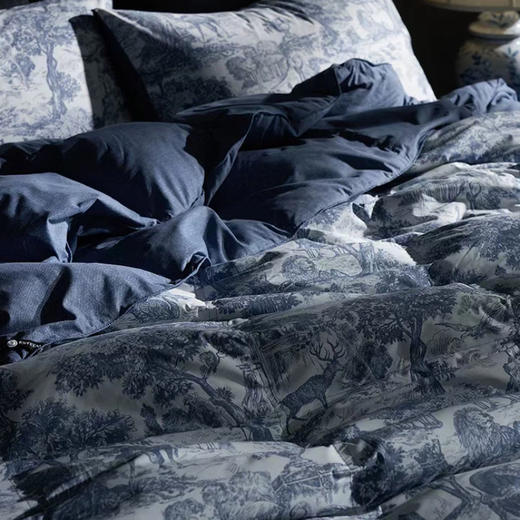 【预售款下单45天发】宜庭匈牙利可水洗鹅绒子母被|十年质保！万元奢侈睡感！四季可用，组合严寒也暖和！ 商品图1