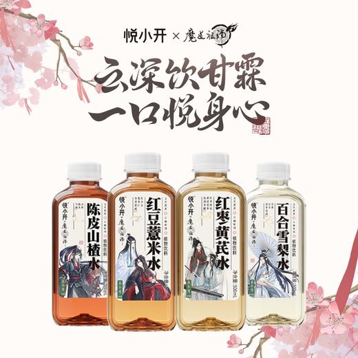 悦小开红枣黄芪500ML*15瓶 商品图3