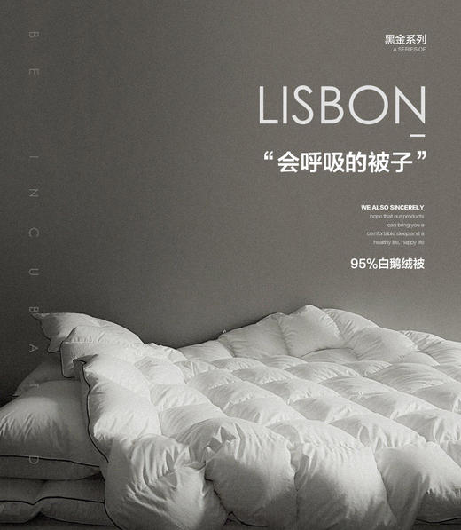 诗丹娜SIDANDA红点奖设计鹅绒被羽绒被 商品图3